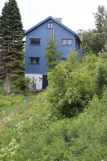 Cozy Family House Villa Tromso Exterior photo